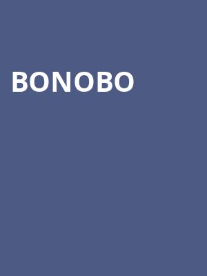 Bonobo, Sunshine Theater, Albuquerque