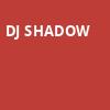 DJ Shadow, Sunshine Theater, Albuquerque